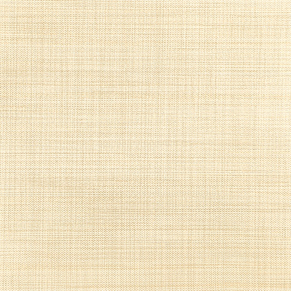 Ткань для рулонных штор Benone 7858 - изображение 1 - заказать онлайн в салоне штор Benone в Электроуглях